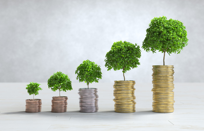 Financial Management Basamandla Consulting